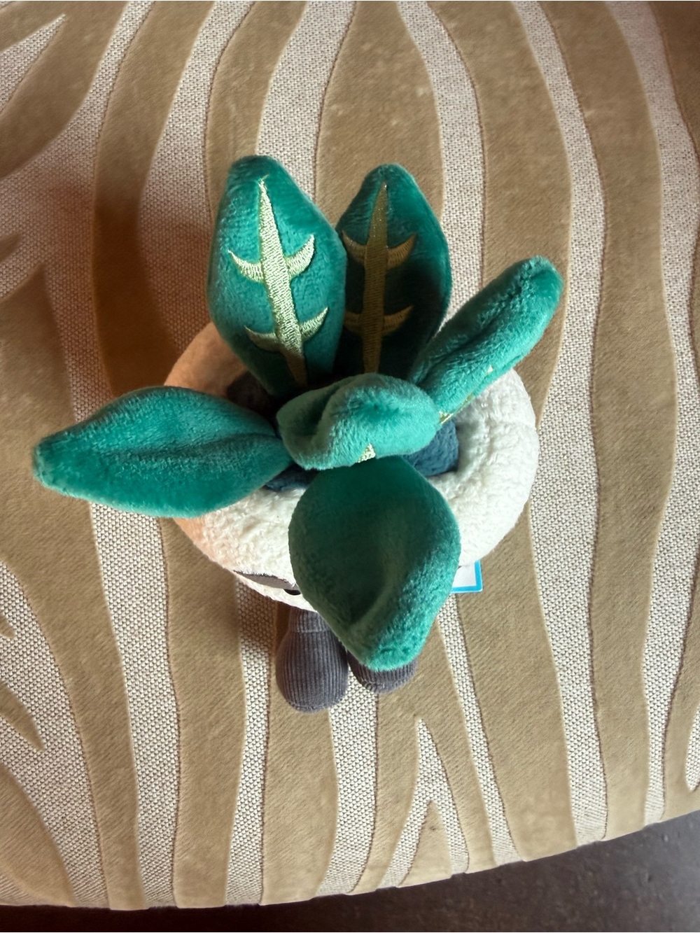 JELLY CAT AMUSABLE SKULL PLANTER - Picture 4 of 6